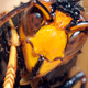 Let’s all just bee cool, okay? Wait, no, we’re sorry. Oh god, no!